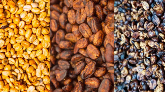 Descubra os segredos do café perfeito