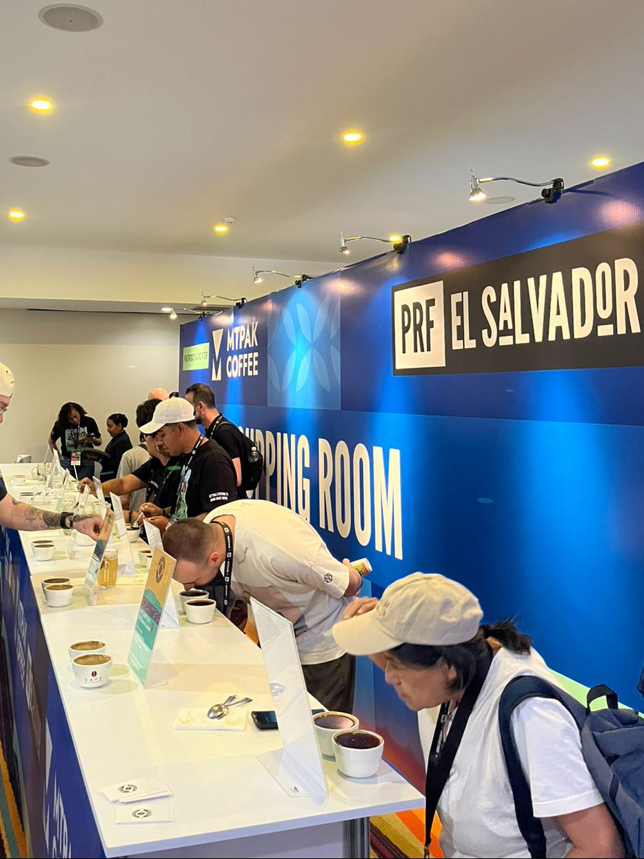 Degustação: Cafés de El Salvador, Honduras e Colômbia